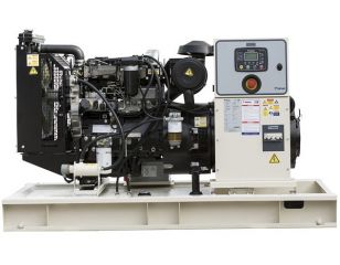 Дизельный генератор TJ72PE5L в контейнере