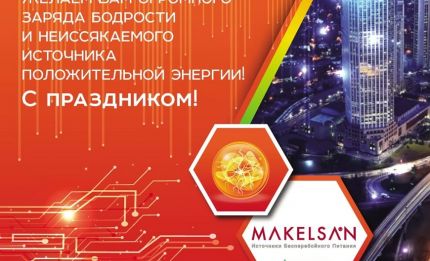 Уважаемые Клиенты и Партнеры! Команда MAKELSAN поздравляет вас с ДНЕМ ЭНЕРГЕТИКА!