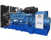 ТСС АД-600С-Т400-2РМ9 с АВР