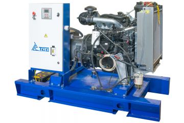 ТСС АД-24С-Т400-1РМ20 (Mecc Alte)