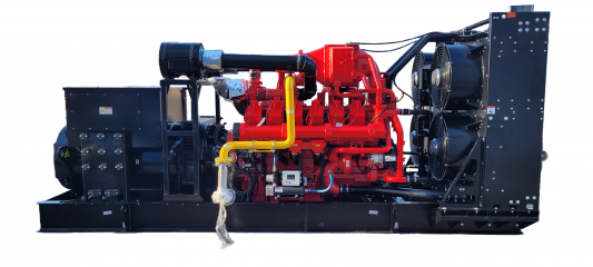 Газовый генератор CTG 1000CG с АВР
