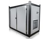 Дизельный генератор CTG AD-83RE в контейнере